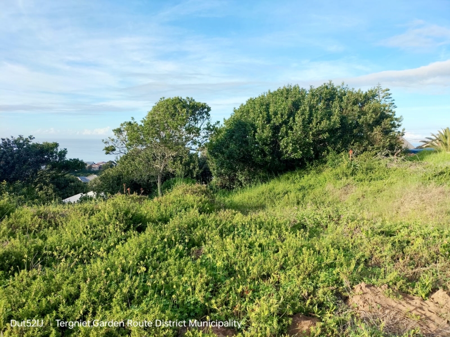 0 Bedroom Property for Sale in Tergniet Western Cape